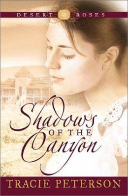 Shadows of the canyon